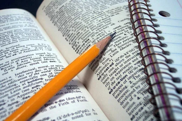 Ley de emprendedores