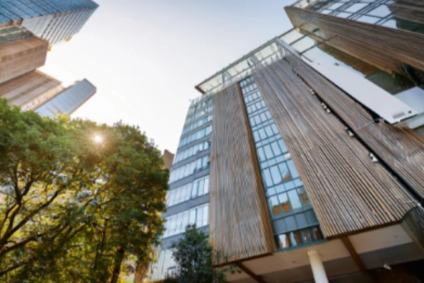 ¿Qué negocio abrir? negocios rentables